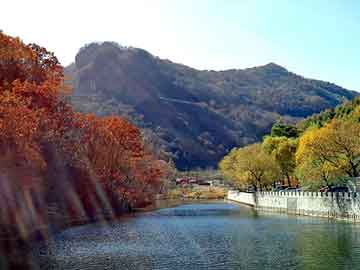 新澳天天开奖资料大全旅游团，都市校园